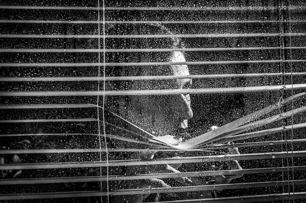 Rainy Window Gaze by Dov Fuchs — canvas wall art