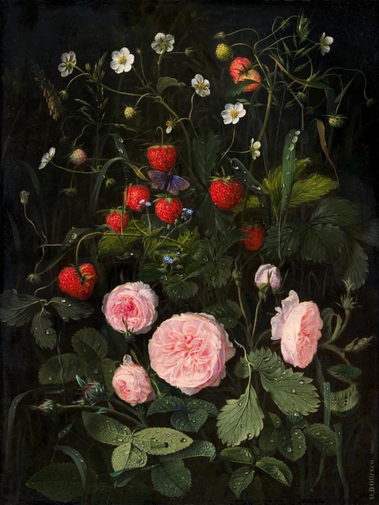 Still Life With Roses and Strawberries