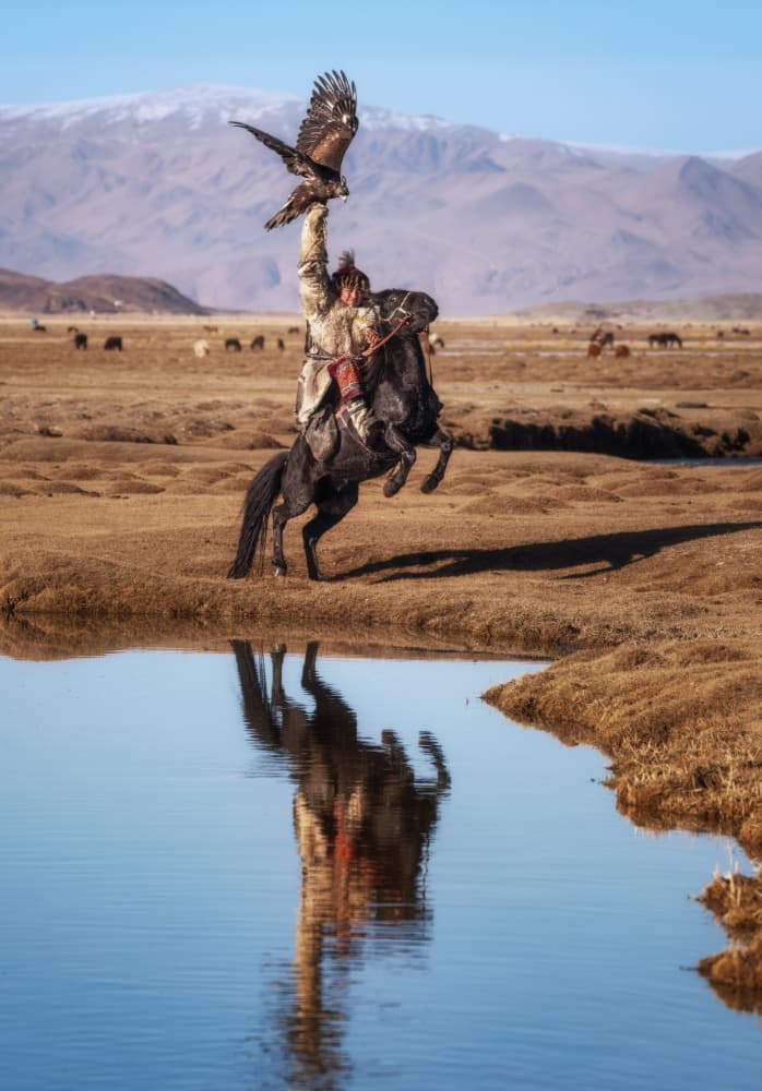 Golden Eagle Hunter Reflection