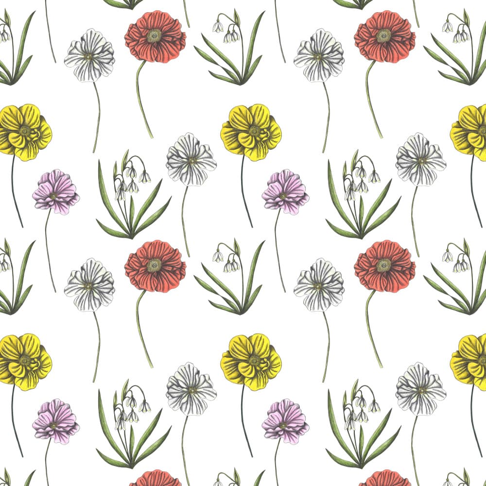 Colorful Botanical Blooms by Cecilia Battaini — canvas wall art