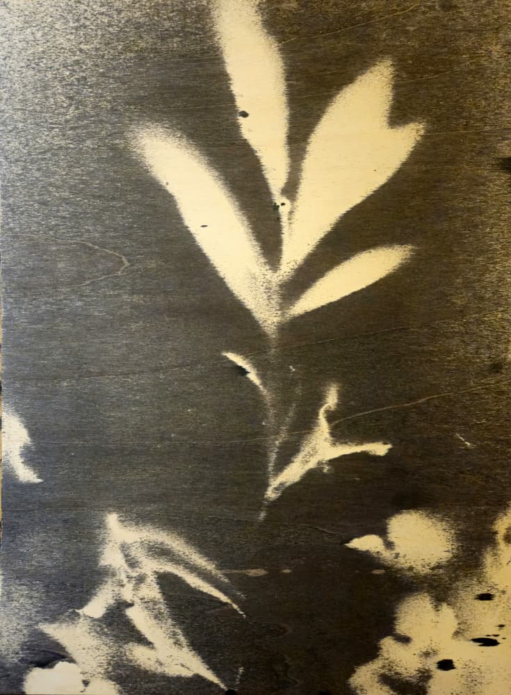 Stark Botanical Silhouette by Stefano Mazzolini — canvas wall art