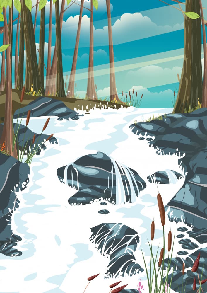 Sunny Forest River Flow by Nicholas — canvas wall art