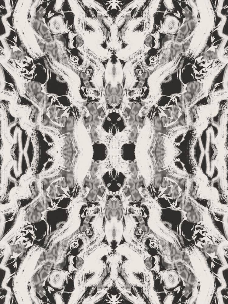 Dynamic Organic Symmetry by Little Dean — canvas wall art