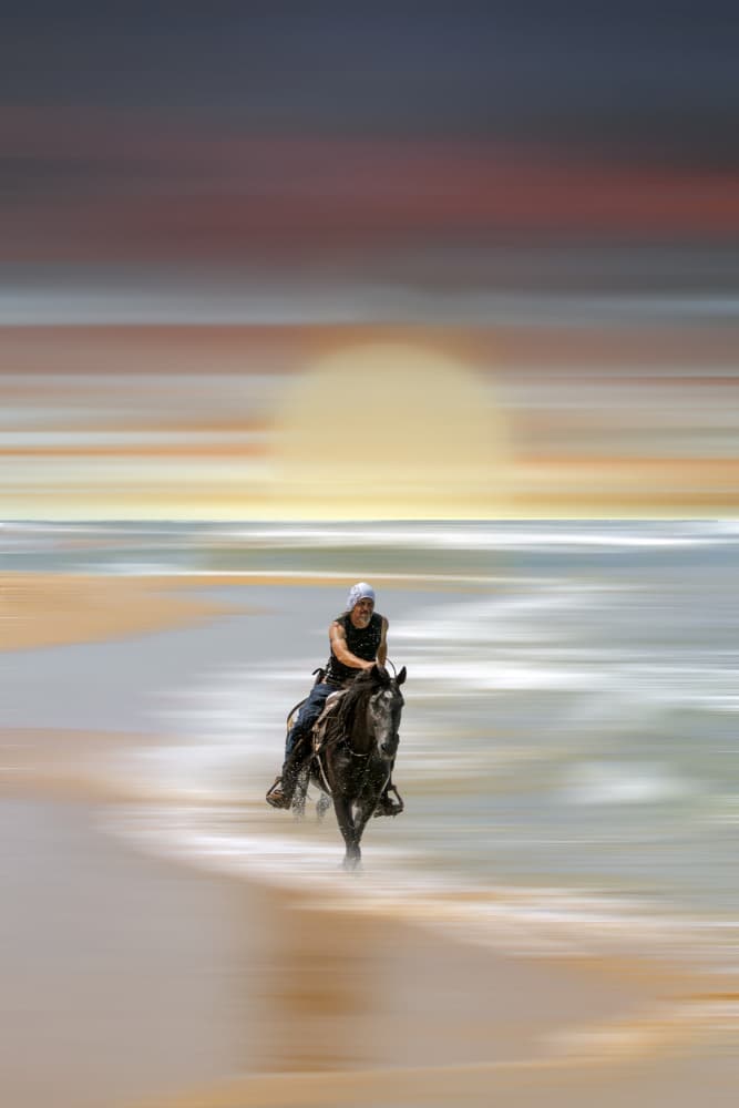 Galloping Sunset Ride by Gabrielle Halperin — canvas wall art