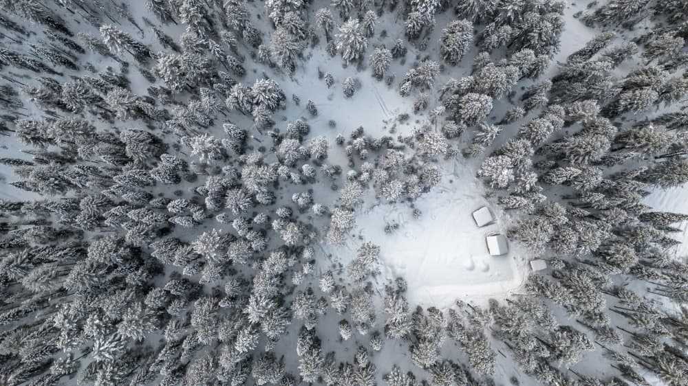 Remote Snowy Forest Cabins by Eser Karadag — canvas wall art