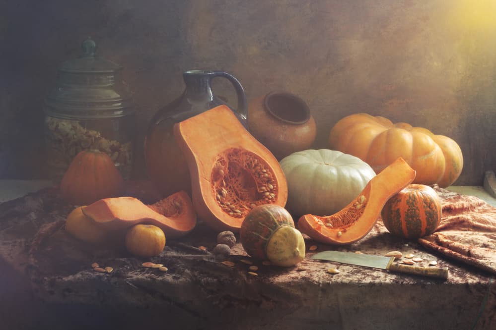 Autumn Harvest Still Life by UstinaGreen — canvas wall art