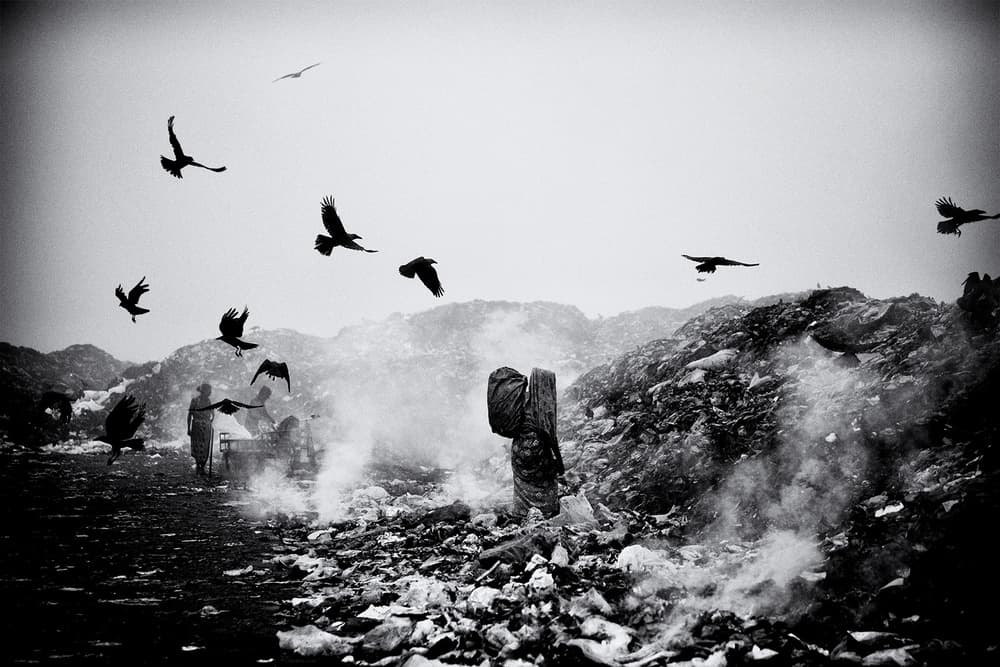 Crows Over The Dump by Marcel Rebro — canvas wall art