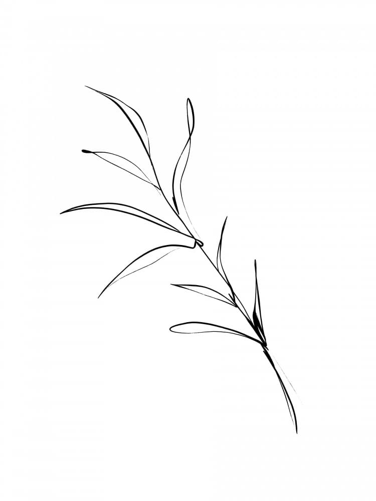 Ethereal Stems by Treechild — canvas wall art