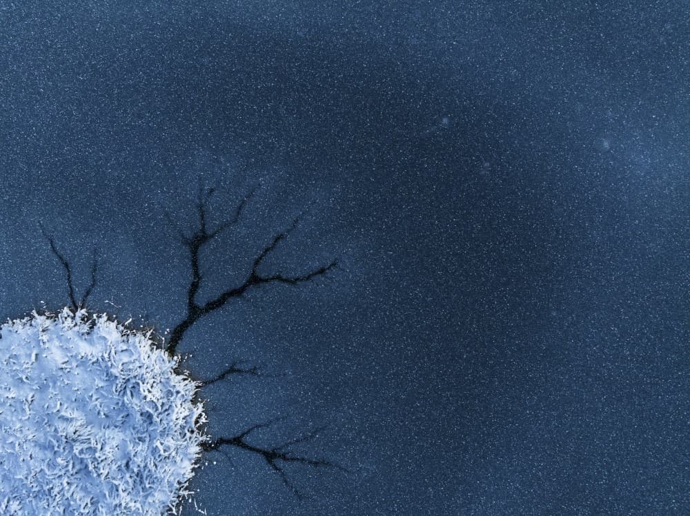 Icy Branches Night by Alexey Kharitonov — canvas wall art