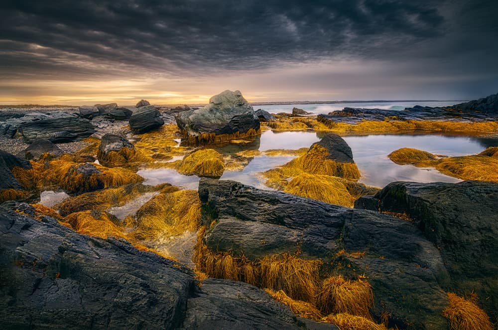 Moody Coastal Tide Pools by Ben.C.L — canvas wall art