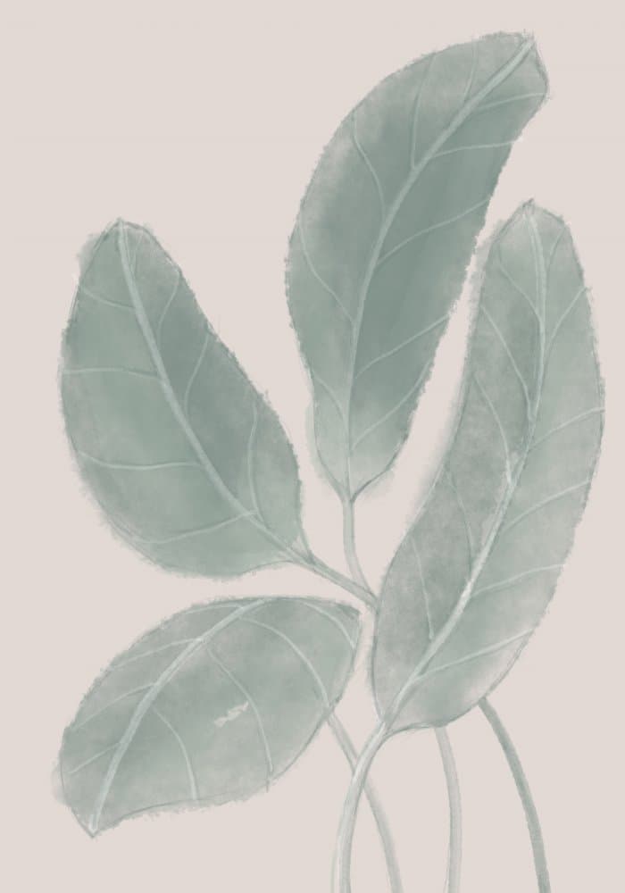 Soft Sage Leaves by Pictufy Studio II — canvas wall art
