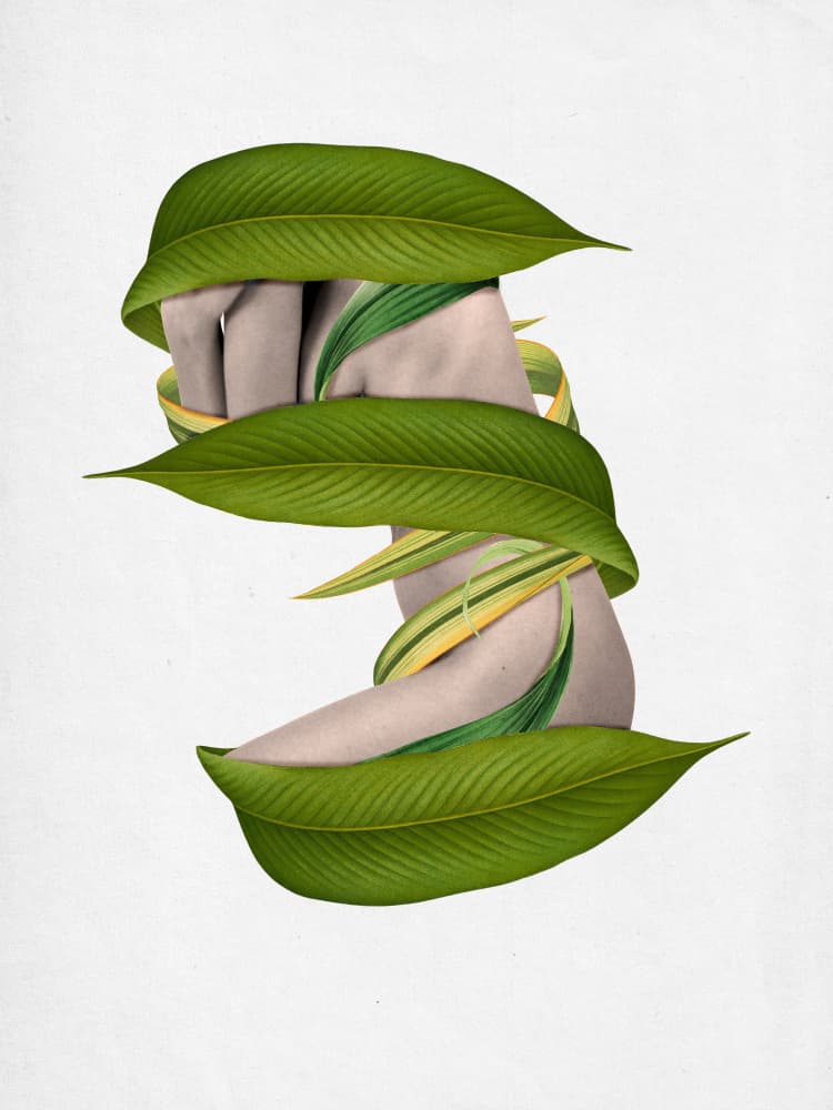 Body Wrapped in Nature by Sammy Slabbinck — canvas wall art