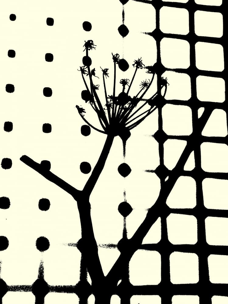 Graphic Plant Grid by Petr Strnad — canvas wall art