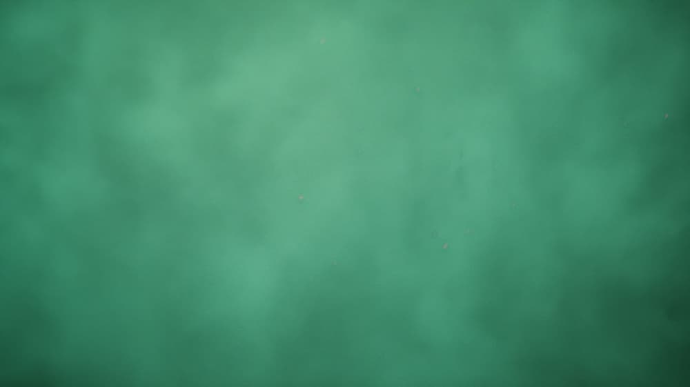 Calm Green Waters by Marika Barsrsind — canvas wall art