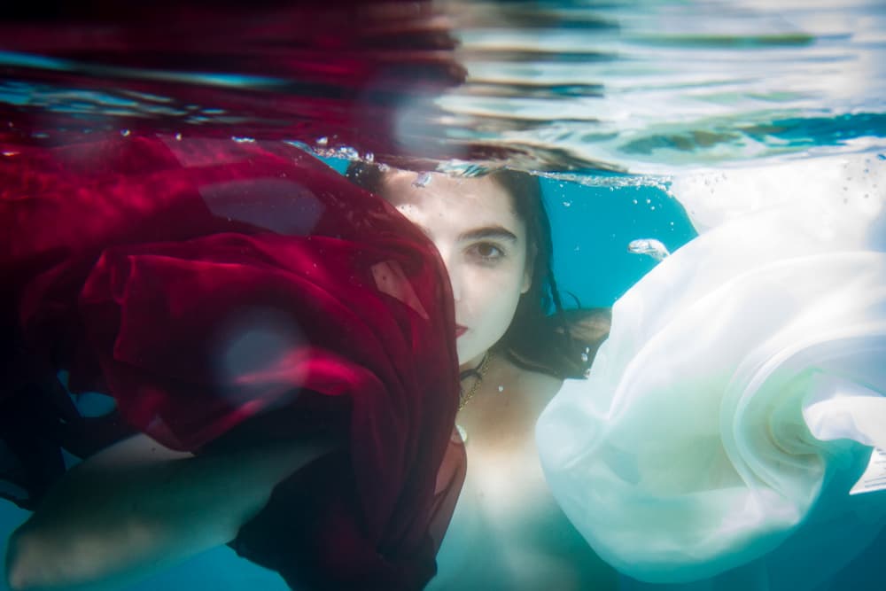 Underwater Gaze by Scott Smallie — canvas wall art