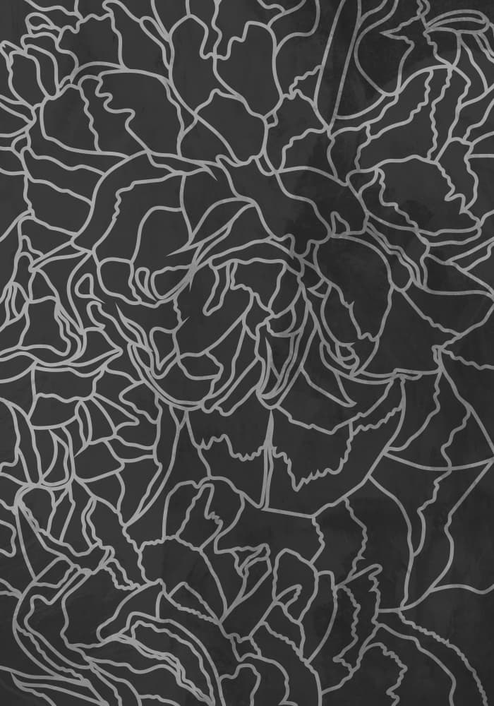 Elegant Floral Outlines by Sarah Manovski — canvas wall art