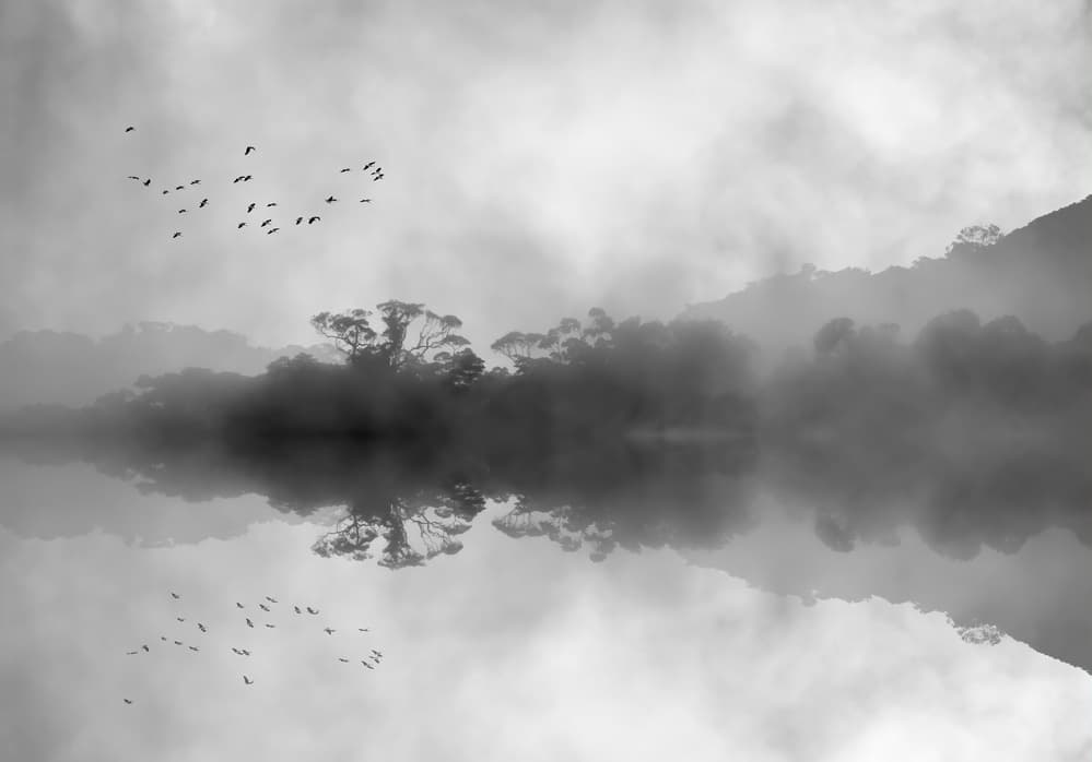 Birds Over Misty Lake by Jacqueline Hammer — canvas wall art