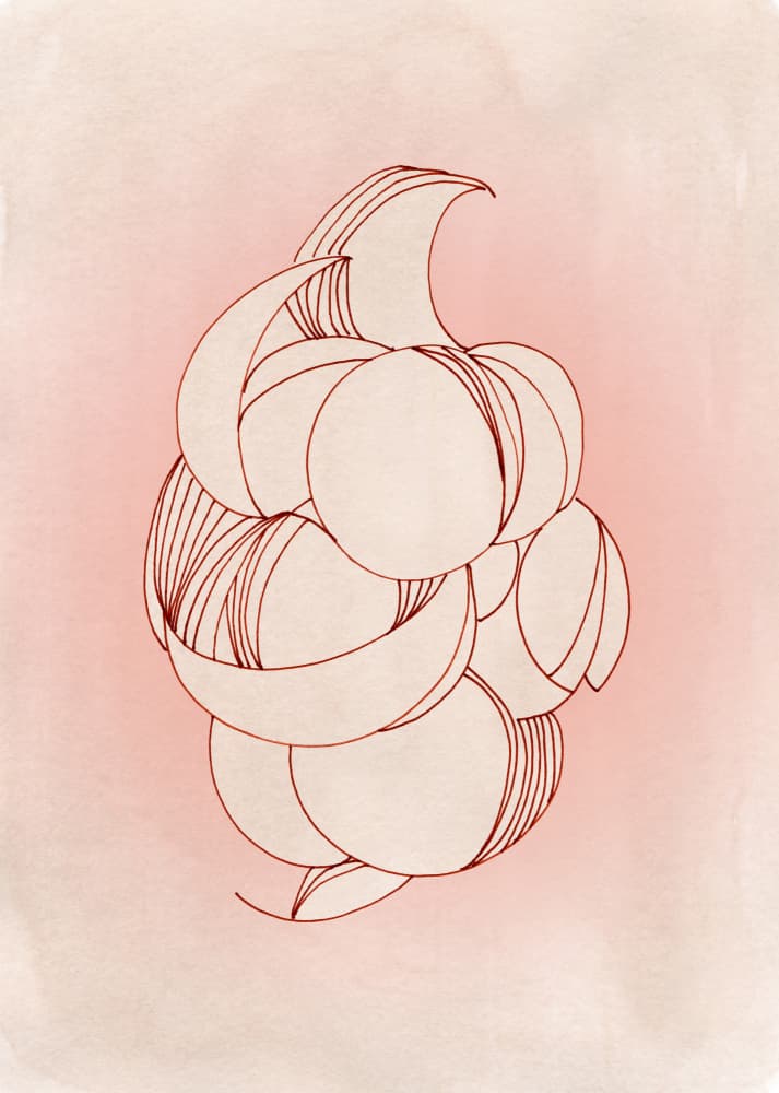 Delicate Petal Forms by Jenja Braun — canvas wall art