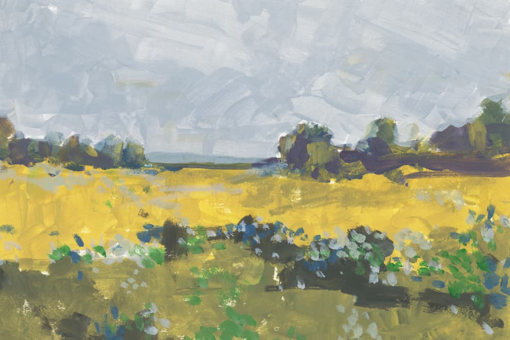 Serene Yellow Fields by cartissi — canvas wall art