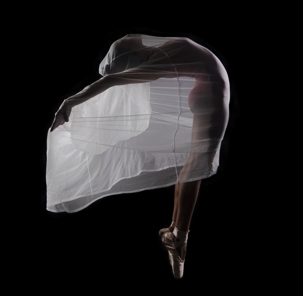 Elegant Ballerina Flow by Rajat Dawn — canvas wall art