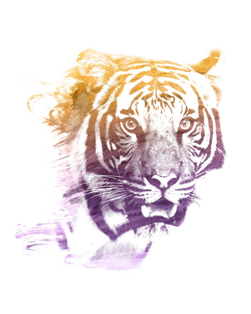 Vibrant Watercolor Tiger by Emiliano Deificus — canvas wall art