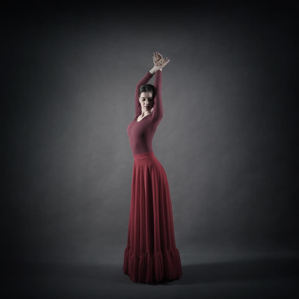 Graceful Dancer In Red by Moein Hasheminasab — canvas wall art