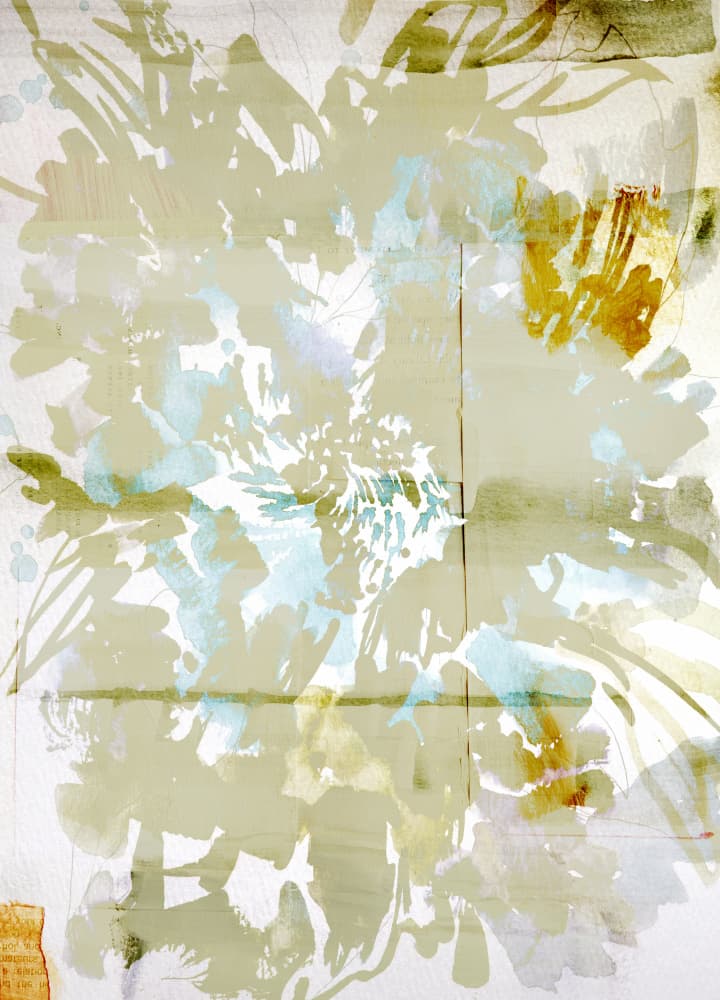 Soft Botanical Dreams by Gemma Bardot — canvas wall art