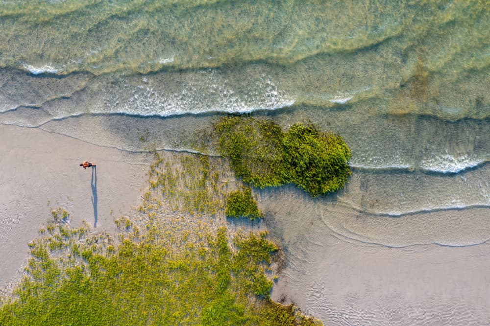 Alone on the Beach by Ed Esposito — canvas wall art