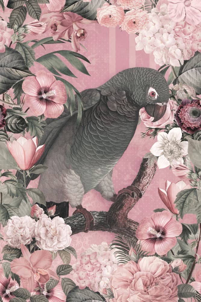 Vintage Floral Parrot by Andrea Haase — canvas wall art