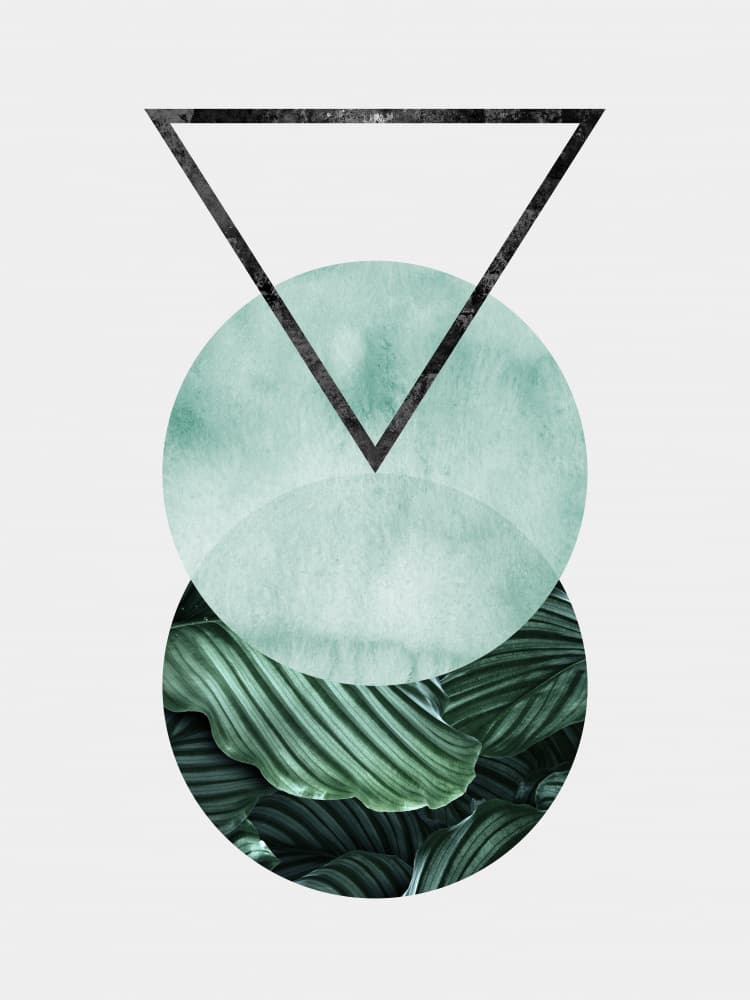 Geometric Botanical Balance by Vitor Costa — canvas wall art