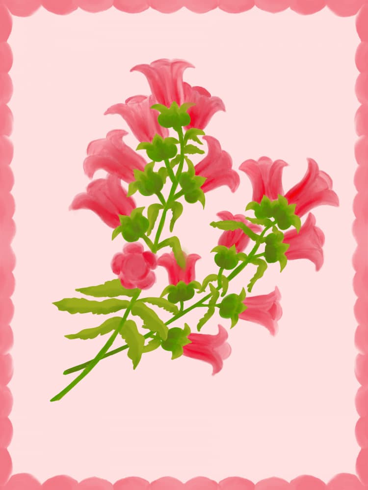 Sweet Pink Bellflowers by Aliya Putrus — canvas wall art