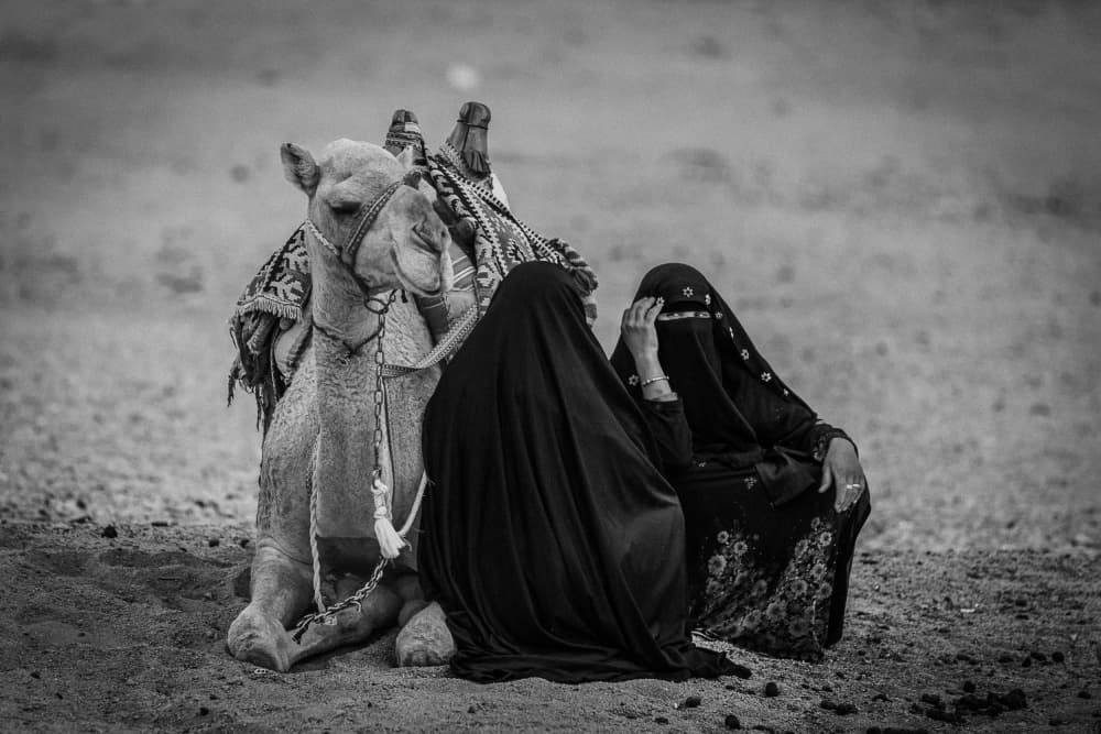 Bedouin Women and Camel by António Carreira — canvas wall art