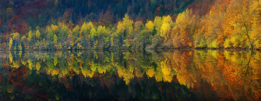 Vibrant Autumn Reflections by Burger Jochen — canvas wall art