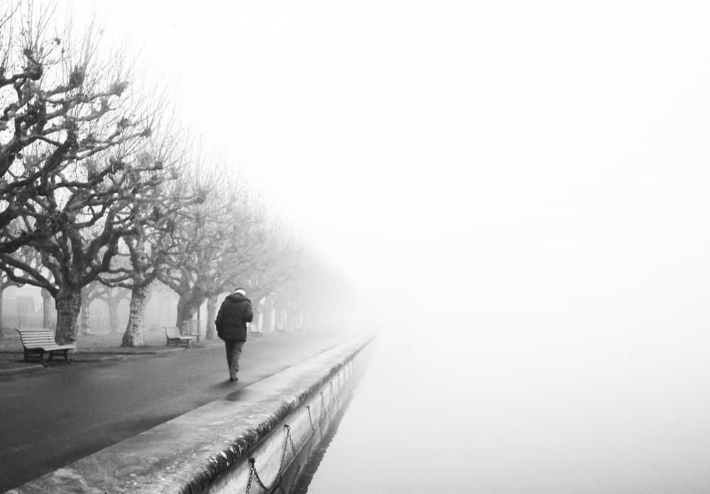 Solitary Fog Walk by Magdalena Roeseler — canvas wall art