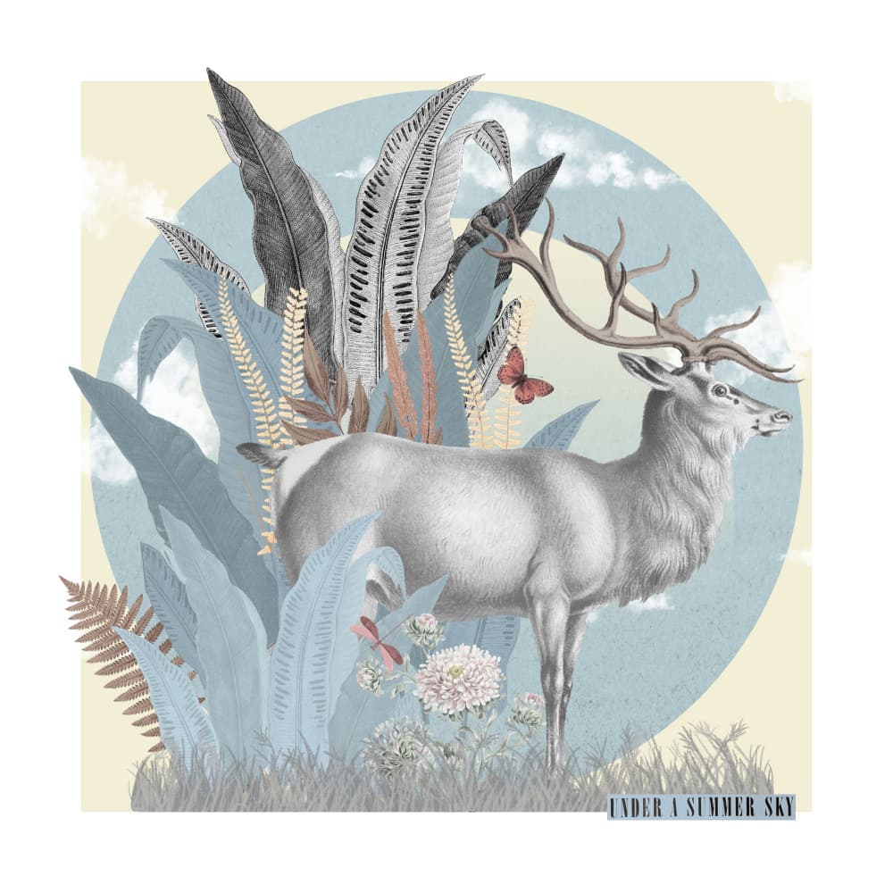 Dreamy Forest Deer by Marja van den Hurk — canvas wall art