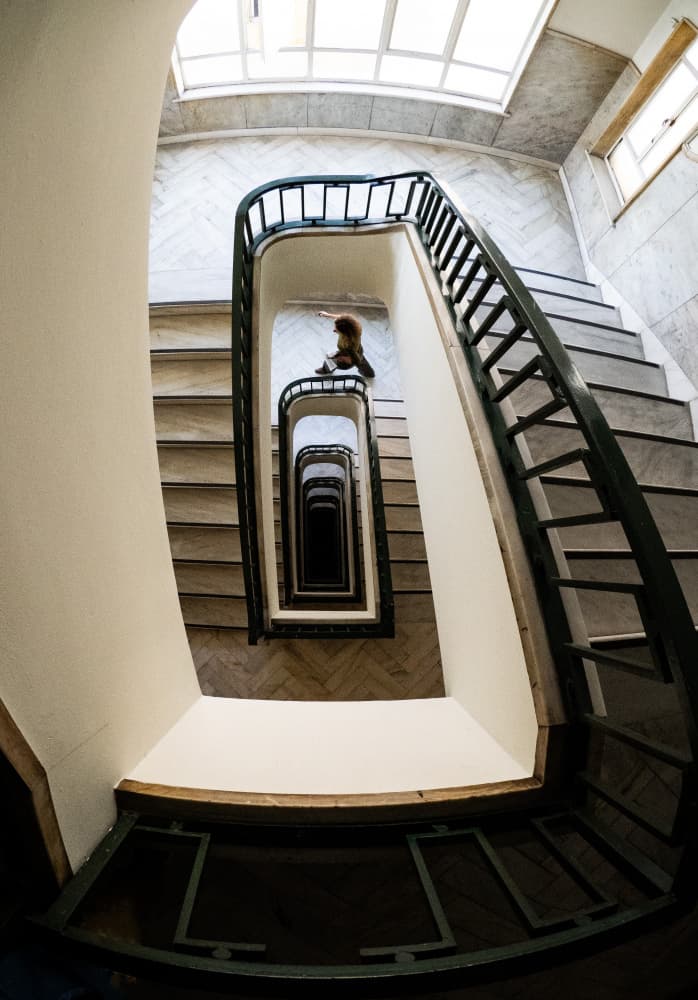 Endless Spiral Stairs by KIMIO KOBAYASHI — canvas wall art