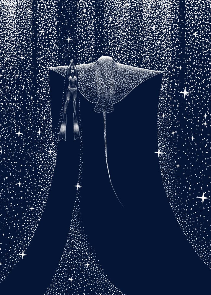 Starlit Ray Companion by Alirıza ÇAKIR — canvas wall art