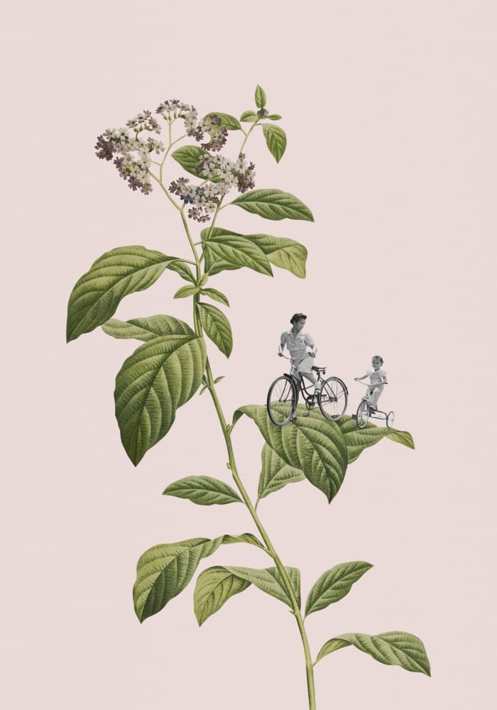 Botanical Bike Dreams by Frida Floral Studio — canvas wall art