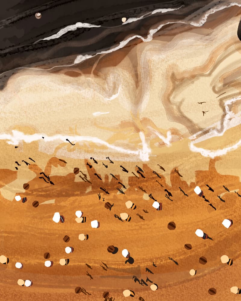 Overhead Beach Life by Uma Gokhale — canvas wall art
