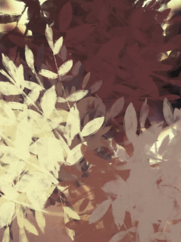 Earthy Autumn Leaves by Dina Dankers — canvas wall art