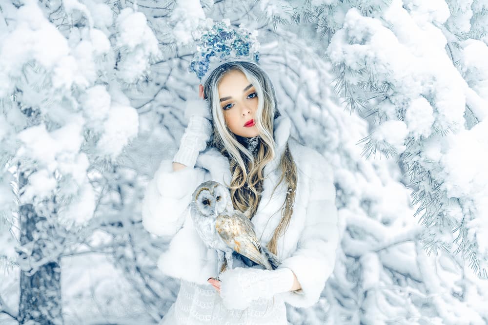 Winter Woman With Owl by Ruslan Bolgov — canvas wall art