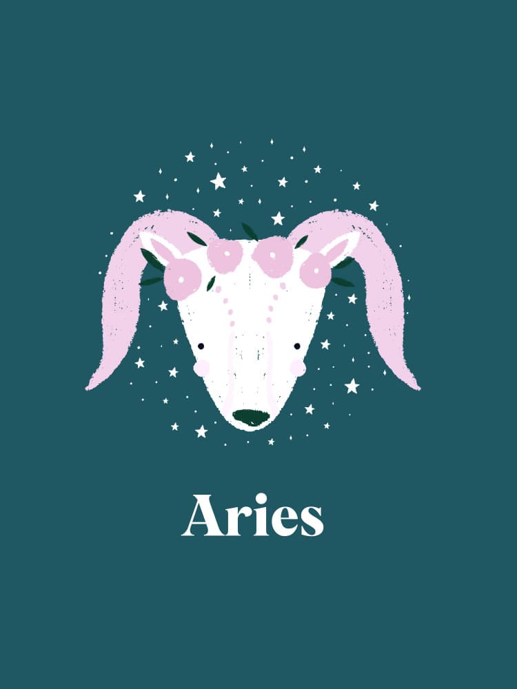 Aries Floral Constellation by Aislinn Simmonds — canvas wall art