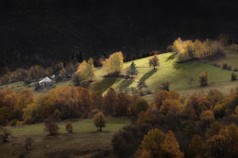 Sunlit Autumn Hillside Home by Zoran Milutinovic — canvas wall art