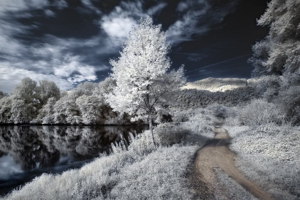 Infrared Winter Scene by Fiorenzo Rondi — canvas wall art