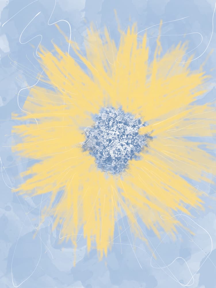 Softest Petals 1 by Sannel Larson — canvas wall art