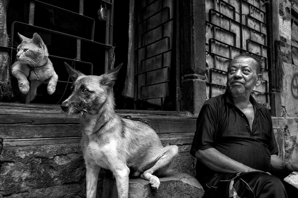 Quiet Street Companions by Haitham AL Farsi — canvas wall art