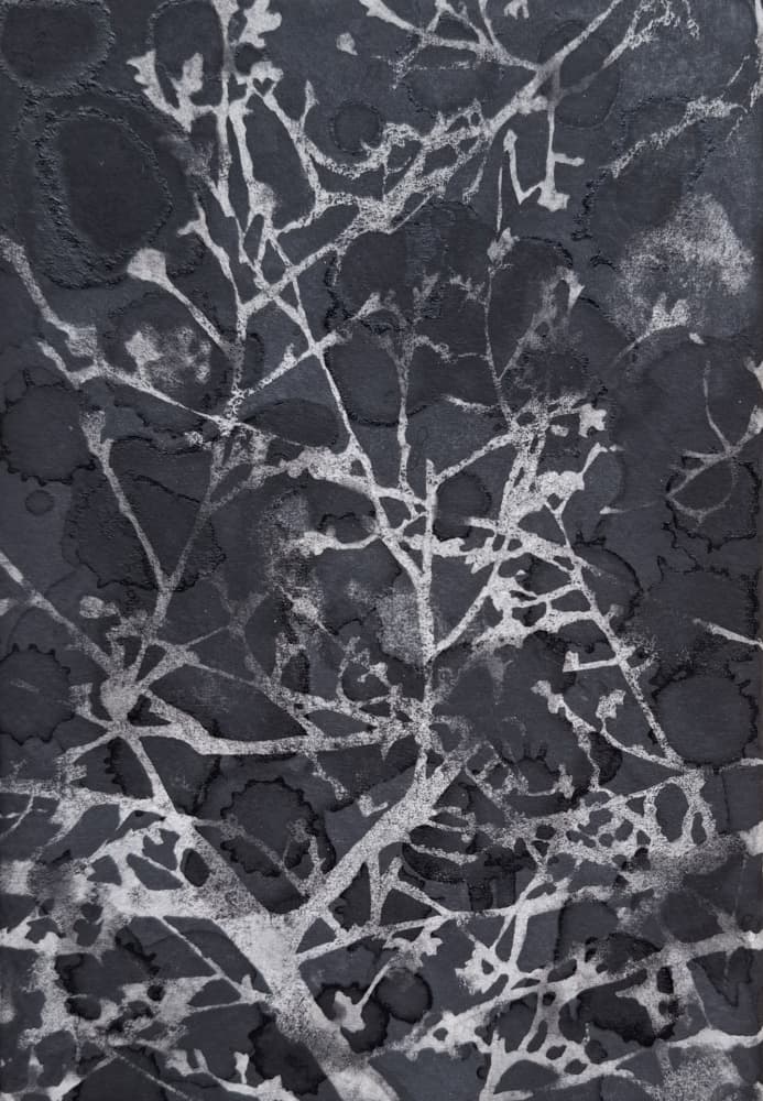 Dark Winter Branches by Alex Walsh — canvas wall art