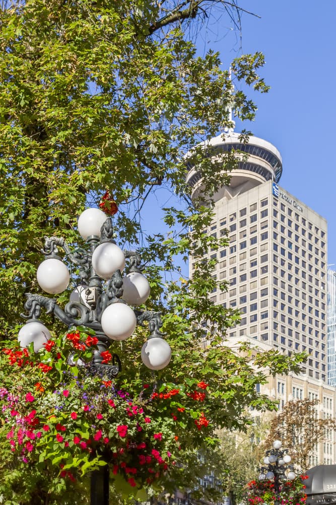 Vancouver City Blooms by Melanie Viola — canvas wall art