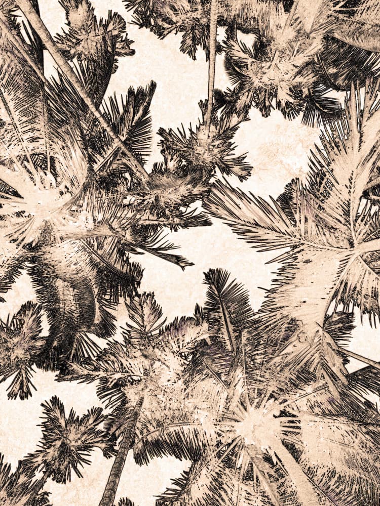 Vintage Palm Canopy by Santhosh ch — canvas wall art