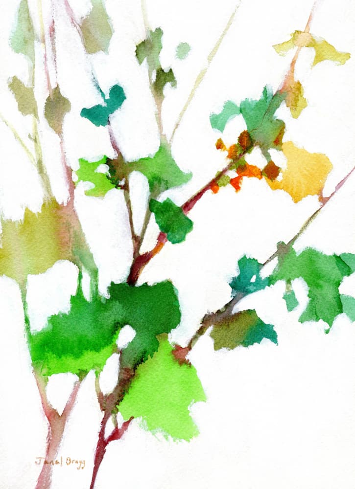 Vibrant Green Foliage by Janel Bragg — canvas wall art